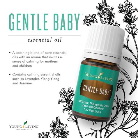 Gentle Baby Essential Oil, Essential Oils For Babies, Are Essential Oils Safe, Calming Essential Oils, Product Knowledge, Young Living Essential Oils Recipes, Yl Oils, Gentle Baby, Yl Essential Oils