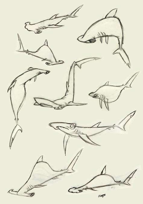 Shark Dragon Art, Hammerhead Shark Character, Angel Shark Drawing, Hammerhead Shark Doodle, Hammer Shark Drawing, Shark Drawing Reference, Hammerhead Shark Art, Salmon Shark, Shark Character