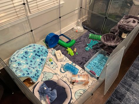 about the crap corner in my room turning into a playpen for my rats! which will include DIY items. Rat Playpen Ideas, Pocket Potatoes, Diy Rat Accessories, Rat Playpen, Playpen Ideas, Diy Pet Rat Cage Accessories, Pink Rat Cage, Playing Ideas, Rat Ideas