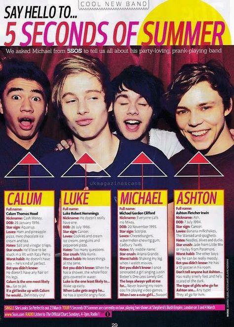 5sos Facts, Michael Ashton, 5sos Funny, Thomas Hood, 5sos Memes, Luke Roberts, Calum Thomas Hood, Michael Gordon, Five Seconds Of Summer