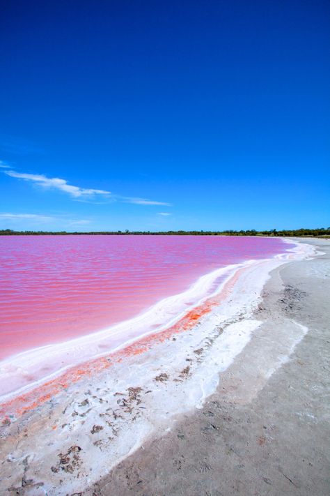 Pink lake salt lake blue skg amazing nature calm nature photography tranquility nature lovers Nature beauty pink water waves cloudy lovely natural beauty water source travel locations travel photography traveling destination Pink Lake Australia, Pink Lake, Pink Water, Healing Heart, Human Activity, Pink Salt, People Of The World, Pacific Ocean, Western Australia