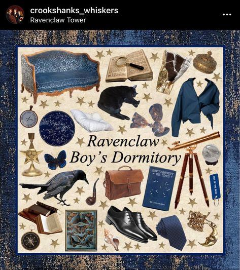 Ravenclaw Boys, Ravenclaw Dormitory, Ravenclaw Outfit Aesthetic, Memories Edit, Ravenclaw Outfit, Harry Potter Planner, Harry Potter Oc, Ravenclaw Aesthetic, Harry Potter Houses