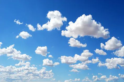 Photo Shoot Backdrop, Shoot Backdrop, Hd Sky, Rainbow Backdrop, Sky Images, Microsoft Azure, Curious Kids, तितली वॉलपेपर, Mind Blowing Facts