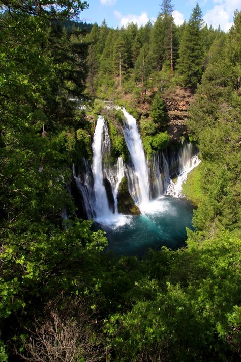 Burney Falls from the lookout Burney Falls, California Roadtrip, Bodega Bay, Beautiful California, Adventure Backpack, National Park Road Trip, California Travel Road Trips, Southern Oregon, Journal Travel