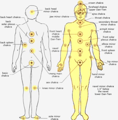 A Primer On Major And Minor Chakras..I got my description from here. (Article) Kundalini Meditation, Pranic Healing, Chakra System, Sanskrit Words, Energy Medicine, Les Chakras, Kundalini Yoga, Healing Meditation, Chakra Meditation