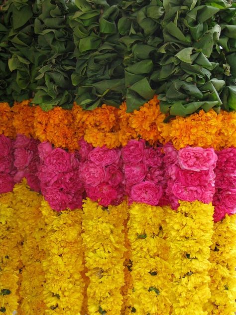 On budget for flower garlands...try using inexpensive flowers like carnations. Indian Flower Garlands, Marigold Wedding Decoration, Deepavali Images, Indian Garland, Diwali Inspiration, India Party, Marigold Wedding, Smelling Flowers, India Inspired