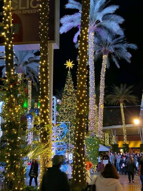 Arizona Christmas, Apache Junction, Tempe Arizona, Mormon Temple, Phoenix Arizona, All Things Christmas, Christmas Lights, Image Search, Phoenix