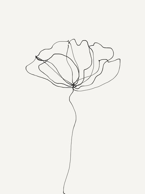 Continuous Line Flower Tattoo, Minimalist Flower Tattoo Line Drawings, Minimalist Flower Illustration, Continuous Line Flower Drawing, Lily One Line Drawing, One Line Cosmos Flower, Line Drawing Flowers, Australian Botanicals, Cosmos Tattoo