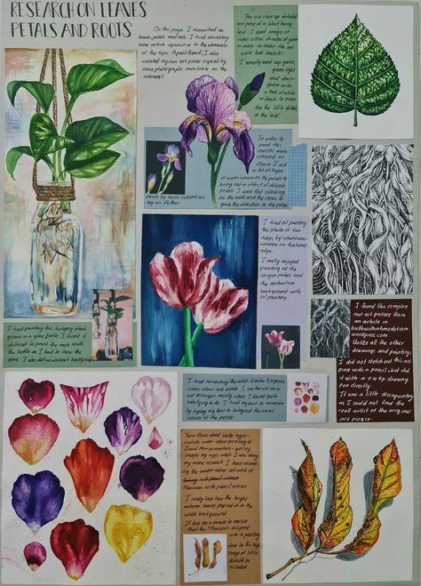 Gcse Flowers Sketchbook, Gcse Art Flowers Sketchbook, Nature Artists Gcse, Natural Forms Artists, Natural Forms Sketchbook, Natural Forms Gcse Title Page, Gcse Art Natural Forms, Visual Art Diary, Natural Form Artists