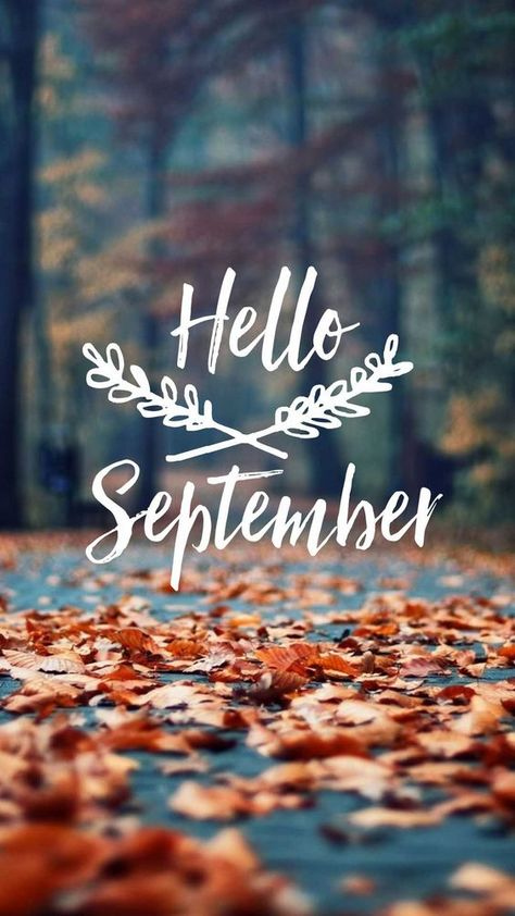 70 Hello September Images, Pictures, Quotes And Pics [2020] Hello September Images, Season Wallpapers, September Images, Seasonal Signs, September Wallpaper, November Wallpaper, Hello November, Iphone Art, Hello September