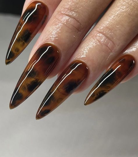 Brown Snake Nails, Brown Black Nails, Calico Nails, Leopard Stiletto Nails, Tigers Eye Nails, Alligator Nails, Brown Gel Nails, Tortishell Nails Design, Tortoise Nails