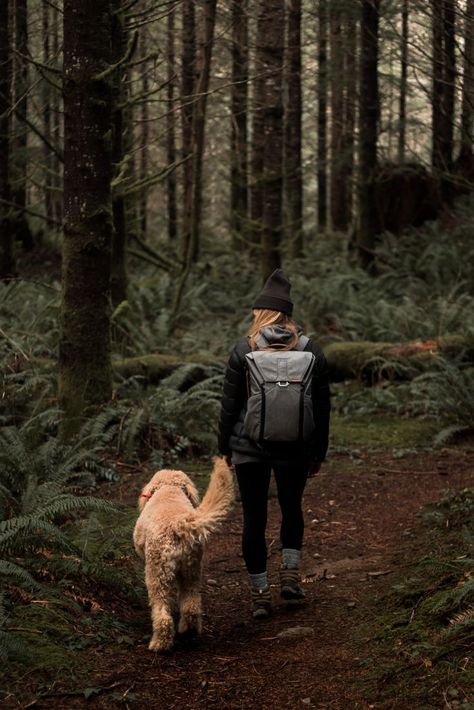 Hiking Photography, Camping Aesthetic, Door Entrance, Hiking Dogs, Adventure Aesthetic, Farmhouse Front, Entrance Design, Dog Adventure, Wild Adventures