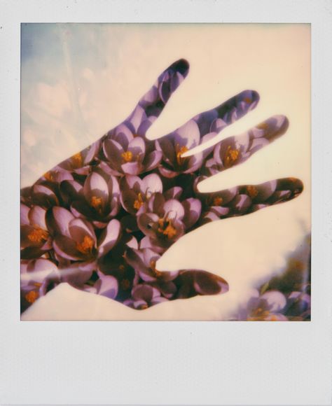 Double Exposure Aesthetic, Polaroid Double Exposure Ideas, Polaroid Sx-70, Polaroid Double Exposure, Japanese Polaroid, Polaroid Tips, Double Exposure Photoshop Tutorial, Fashion Photography Nature, Wedding Ideas Barn