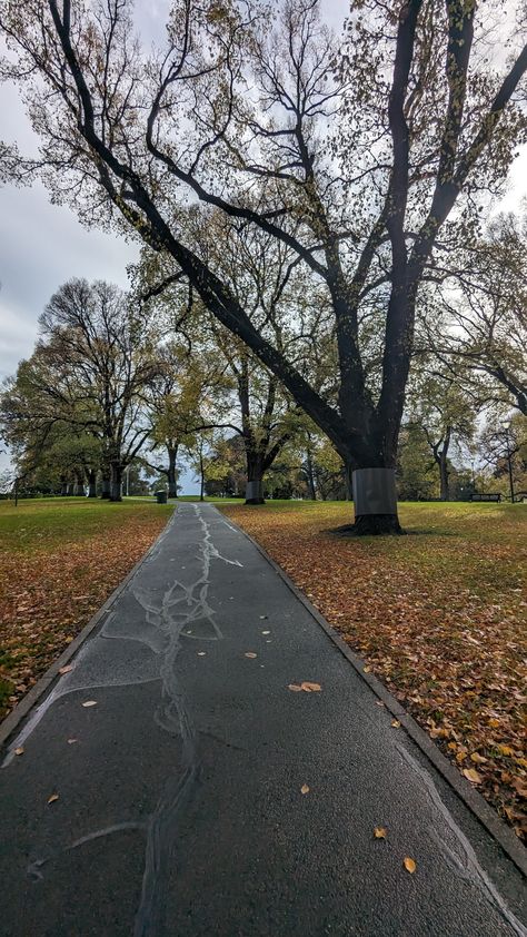 Winter
Australia
Landscape
Fall
Autumn
Aesthetic Autumn In Melbourne, Moldable Fabric, Winter In Melbourne, Winter Melbourne, Melbourne Winter, Chilly Morning, Early Winter, Winter Vibes, Autumn Scenery