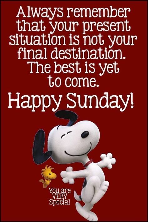 Funny Sunday Memes, Sunday Humor, Happy Sunday Morning, Sunday Morning Quotes, Sunday Quotes Funny, Good Morning Snoopy, Sunday Images, Good Morning Happy Sunday, Weekend Quotes