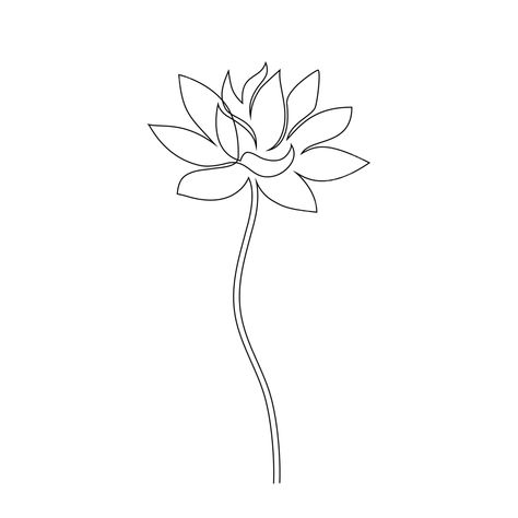 Drawing Lotus Flower, White Background Flower, Flower On White Background, Lotus Flower Drawing, Lotus Drawing, Drawing Png, Background Flower, Flower Stem, Mini Tattoos