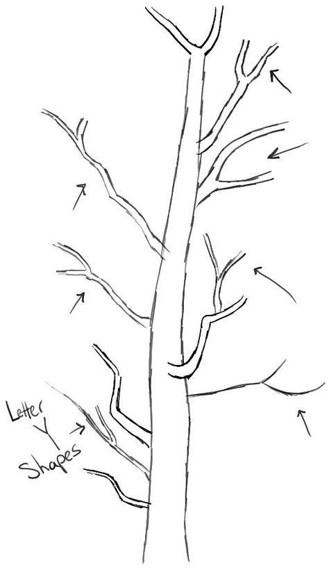 How To Draw Trees, Trees Drawing Tutorial, Draw Trees, Trees Drawing, Tree Drawing Simple, How To Draw Realistic, Draw Step By Step, Tree Drawings Pencil, Drawing Realistic