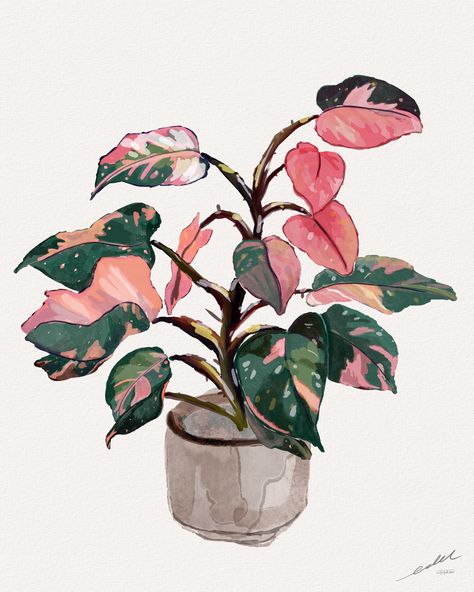 Watercolor House Plants, Plant Painting Aesthetic, Philodendron Painting, Plants Sketchbook, Plants Illustration Art, Houseplant Drawing, House Plant Painting, Houseplant Painting, Houseplant Illustration