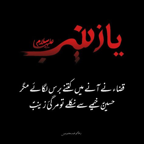 Bibi Zainab sa Urdu Poetry Bibi Zainab, Karbala Photography, Photo Art Gallery, English Vocabulary, Urdu Poetry, Instagram Aesthetic, Vocabulary, Photo Art, Abc