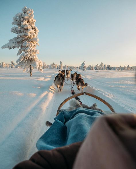 Second highlight of 2018 was Lapland in Finland! The most beautiful place to be in February if you’re looking for Winter wonderland❄️ Husky… Hildegunn Taipale, Finland Travel, Lapland Finland, Winter Wallpaper, Epic Journey, Winter Wonder, Winter Aesthetic, Beautiful Place, Nature Travel