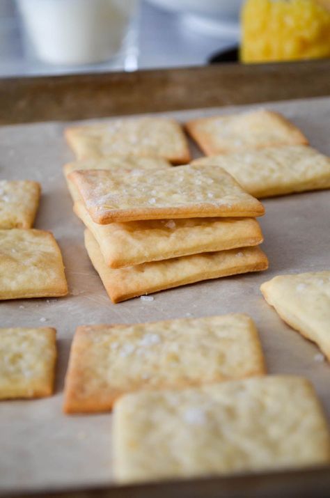 HOMEMADE SALTINE CRACKERS Super easy recipe, ready to eat in 30 minutes. | In Jennie's Kitchen Homemade Saltines, Homemade Saltine Crackers, Saltine Cracker Recipes, Rosemary Crackers, Homemade Crackers Recipe, Savoury Crackers, Crackers Recipe, Savoury Biscuits, Homemade Crackers