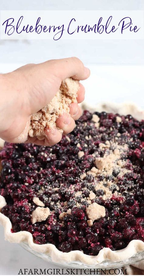 Blueberry Crumb Pie Recipe, Blueberry Pie With Crumb Topping, One Crust Blueberry Pie, Blueberry Crumb Pie, Strudel Topping, Pie Crumble Topping, Blueberry Crumble Pie, Pie Store, Fresh Blueberry Pie