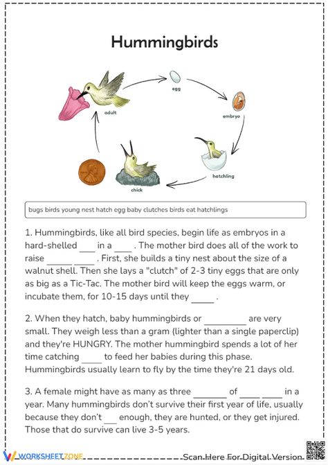 Help students understand the stages of a hummingbirds life cycle by filling in the missing word with the given passage and word bank. You also can make interactive at our website. Let's check it out! #science #scienceworksheets #livingthings #birds #lifecycle #birdlifecycle #animalslifecycle #stages #lifecycleofabird #hummingbirds #printables #worksheet #kidsactivities #missingwords #fillintheblank #birdlifecycleforkids #diagrams #interactive Lifecycle Of A Bird, Bird Life Cycle, Life Cycle Worksheet, Ing Words, Word Bank, Science Worksheets, Life Cycle, The Missing, Hummingbirds