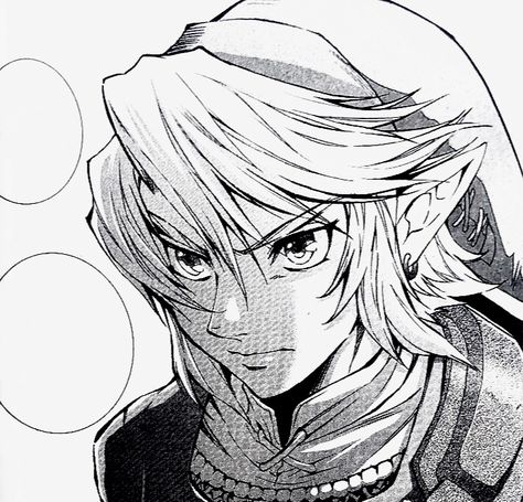 #link #twilightprincess #legendofzelda #manga Link Tp Manga, Link Manga Panel, Zelda Manga Panels, Link Manga Icon, Link Profile Picture, Link Twilight Princess Manga, Link Icon Zelda, Loz Manga, Zelda Pfp