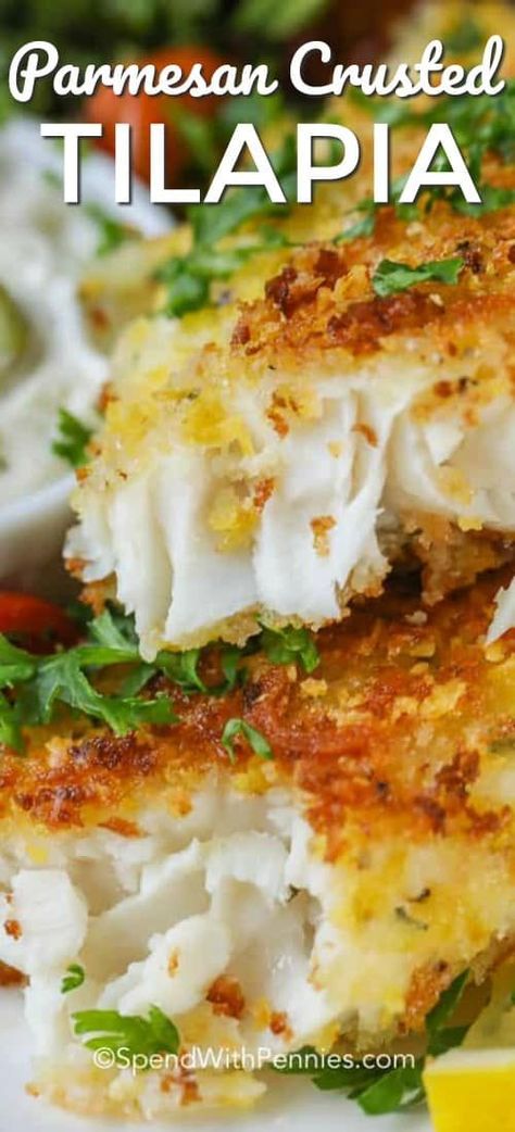 Parmesan Crusted Tilapia is easy to make! Tender tilapia filets are dipped in an egg mixture, coated with parmesan seasoned panko crumbs and pan fried till golden brown. #spendwithpennies #tilapia #fish #seafood #fishrecipe #tilapiarecipe #20minutemeal Seafood Ideas, Parmesan Crusted Tilapia, Best Fish Recipes, Tilapia Fish Recipes, Tilapia Fish, Crusted Tilapia, Fish Recipes Baked, Recipes Seafood, Tilapia Recipes