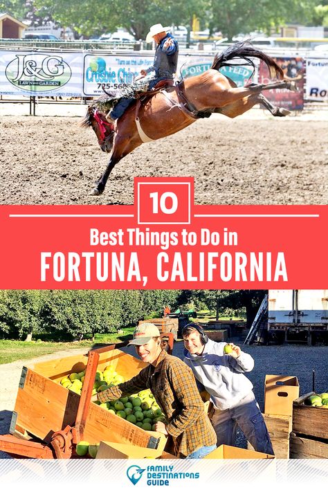 Want to see the most incredible things to do in Fortuna, CA? We’re FamilyDestinationsGuide, and we’re here to help: From unique activities to the coolest spots to check out, discover the BEST things to do in Fortuna, California - so you get memories that last a lifetime! #fortuna #fortunathingstodo #fortunaactivities #fortunaplacestogo Fortuna California, Vacation With Kids, Travel America, Family Destinations, Front Porch Decorating, America Travel, Dream Destinations, Chronic Pain, On Vacation