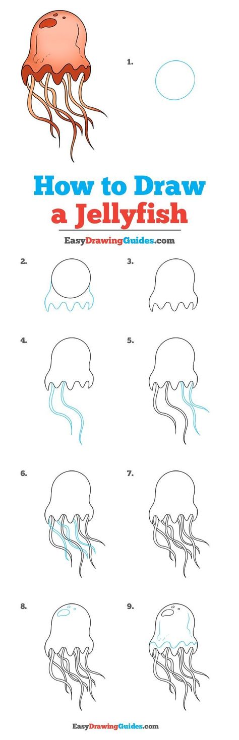 Learn How to Draw a Jellyfish: Easy Step-by-Step Drawing Tutorial for Kids and Beginners. #Jellyfish #drawingtutorial #easydrawing See the full tutorial at https://easydrawingguides.com/how-to-draw-a-jellyfish/. Draw A Jellyfish, Jellyfish Tutorial, Jellyfish Illustration, Jellyfish Decorations, Jellyfish Painting, Jellyfish Drawing, Jellyfish Craft, Jellyfish Design, Jellyfish Tattoo