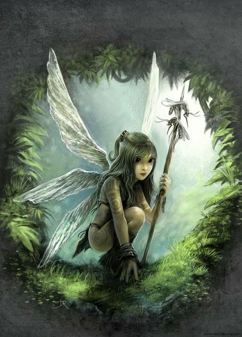 Fairy Warrior Creature Fantasy, Fairies Photos, Fairy Dragon, Fairy Pictures, Love Fairy, Woodland Fairy, Fairies Elves, Fairy Magic, Beautiful Fairies