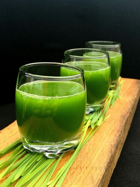 Wheat Grass Shots Recipe, Wheat Grass Recipes, Wheatgrass Shot Recipe, Wheat Grass Juice, Microgreen Recipes, Aip Drinks, Wheatgrass Smoothie, Wheatgrass Juice, Microgreens Recipe