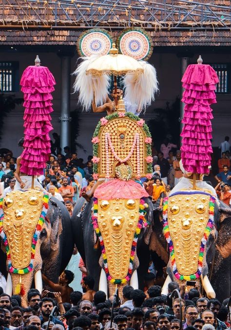 Thrissur Pooram Photography, Kerala Elephant Photography, Kerala Painting, Kerala Elephant, Kerala Festival, Thrissur Pooram, Bliss Movie, Elephant Photography, Elephant Images