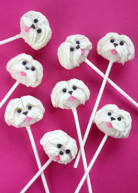 Dog Themed Cake Pops, Dog Cake Pops, Puppy Cake Pops, Baileys Cupcakes, Puppy Party Theme, Dog Cupcakes, Puppy Cake, Pop Cupcakes, Animal Cupcakes