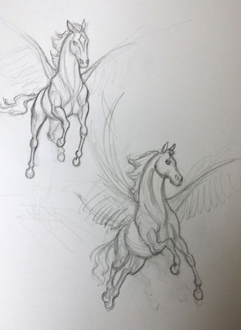 Pegasus drawing How To Draw Pegasus, Pegasus Reference Drawing, Pegasus Art Drawing, Aesthetic Pegasus, Pegasus Reference, Pegasus Sketch, Pegasus Drawing, Pegasus Art, Horse Sketch