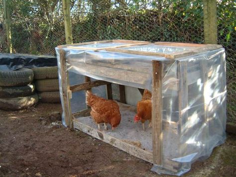 Covered Chicken Dust Bath, Covered Dust Bath For Chickens, Rain Shelter For Chickens, Chicken Rain Shelter, Chicken Shelter From Rain, Chicken Dust Bath Ideas Covered, Chicken Dust Bath Containers, Chicken Bath Dust, Chicken Shelter Ideas