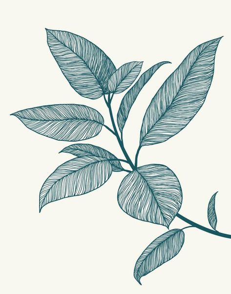 Ficus line art illustration. Minimalist botanical poster. Tropical plant branch. Hand drawn floral background. Abstract design artwork. Line floral drawing. Blue marine summer fresh colors. Line Floral Drawing, Line Drawing Plant, Background Abstract Design, Hey Sunshine, Drawing Blue, Line Art Illustration, Blue Plants, Summer Fresh, Drawn Floral