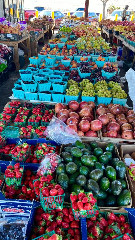 Jacksonville’s farmers market Farmers Market Pictures, Farmers Market Aesthetic, Food Event, Weekend Mood, Dream Date, Girl Lifestyle, Summer Mood, Event Food, Night Ideas