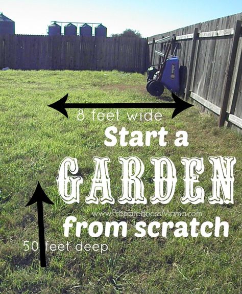 Garden From Scratch, Start A Garden, Beginner Gardening, Backyard Farm, Annual Garden, Starting A Vegetable Garden, Urban Farm, Garden Wallpaper, Starting A Garden