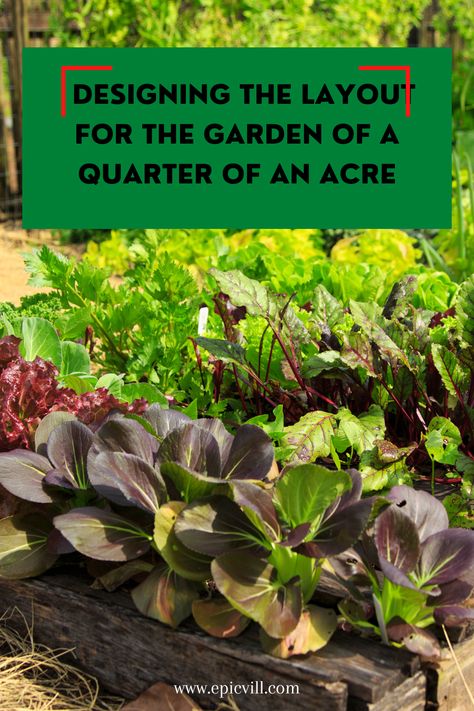 You should first decide on the layout of the garden. Just make sure you have a clear mind that what type of trees, plants, shrubs, and vegetables you are going to grow. It will help you in deciding on the trees and other materials as per the specified space of a quarter of an acre you have. Acre Backyard Ideas, Type Of Trees, Homesteading Tips, Modern Homesteading, Chicken Tractor, Types Of Fruit, Big Plants, Homestead Survival, Clear Mind