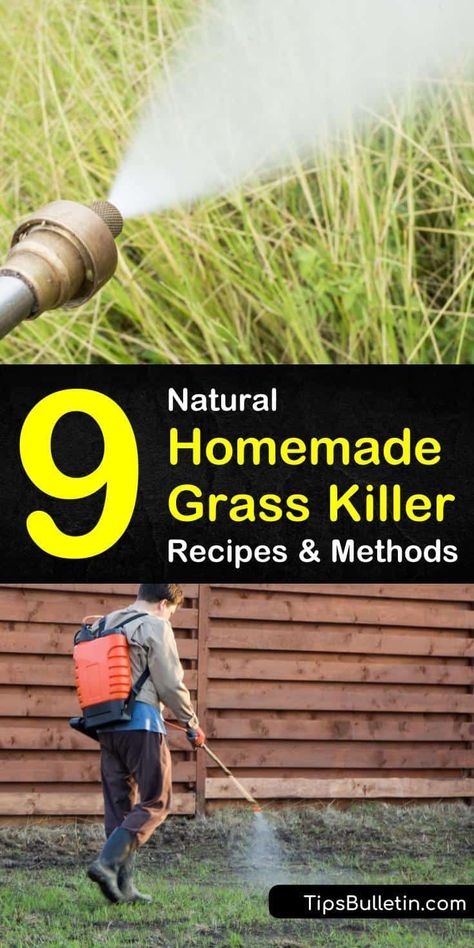 How To Remove Grass, Kill Grass, Natural Plant Fertilizer, Grass Weeds, Doing Dishes, Salt Dish, Bucket Gardening, Garden Care, Boiling Water