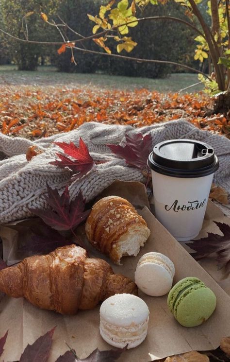 #food #fall #autumn #coffee #croissants #leaves Fall Boards, Fall Picnic, Fall Mood Board, Fall Inspo, Fall Feels, Fall Aesthetic, We Fall In Love, Autumn Cozy, Autumn Aesthetic