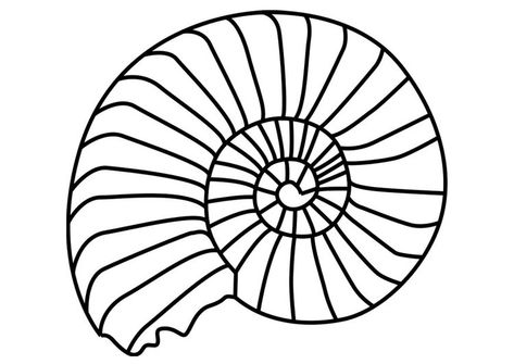 Fill with tangles. Coloring page ammonite mollusc Fossils Lesson, Summer Drawings, Free Coloring Sheets, Dinosaur Coloring Pages, Dinosaur Coloring, Silhouette Stencil, Dinosaur Fossils, Painting Lessons, Paper Crafts Diy Kids