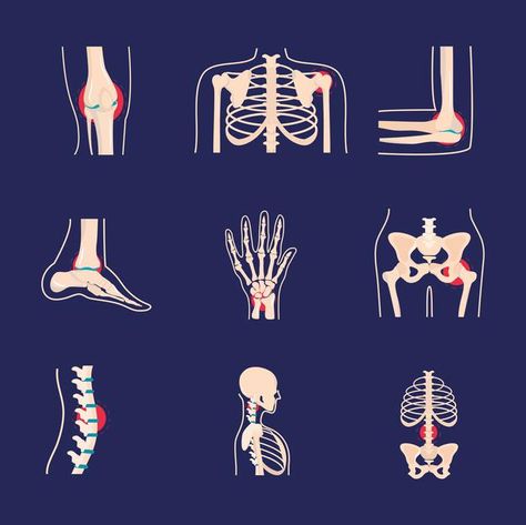 Physical Therapy Artwork, Orthopaedic Art, Physio Logo, Grpahic Design, Human Joints, Notebook Wallpaper, Polymer Clay People, Doctor Help, Pain Relief Patches