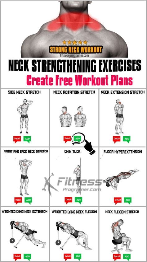 Neck Muscles Workout, Neck Exercises Men, Neck Strengthening Exercises, Exercises For Neck, Neck Strengthening, Neck Exercise, Bodyweight Back Workout, Gym Schedule, Forward Head Posture Exercises