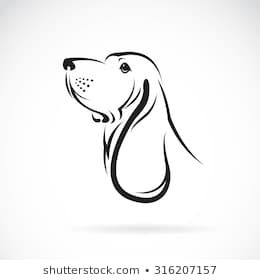 Bassethound Tattoos, Basset Hound Drawing Simple, Basset Hound Outline Tattoo, Bassett Hound Tattoo, Basset Hound Drawing, Basset Hound Tattoo, Adoption Photography, Bird Pencil Drawing, Basset Hound Art