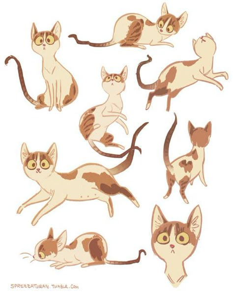 Animation Disney, Cat Character, Wow Art, Cats Illustration, Animal Sketches, 판타지 아트, 영감을 주는 캐릭터, Character Design References, Cat Illustration