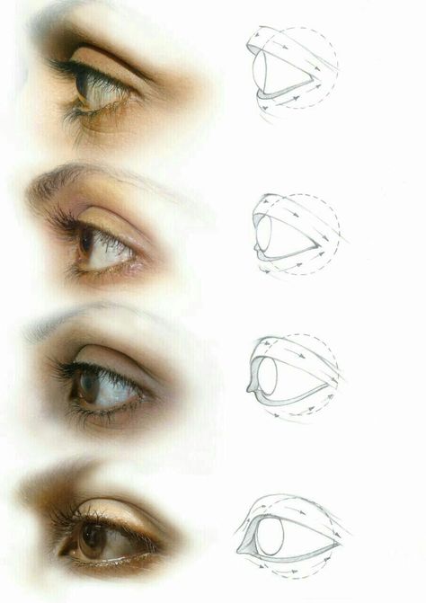 Eye Study Drawing, Eye Shapes Drawing, Eye Study, 얼굴 드로잉, Eye Drawing Tutorials, Drawing Lesson, Eye Sketch, Human Anatomy Drawing, Human Anatomy Art