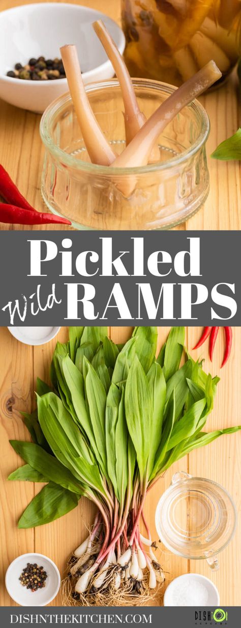 Ever had pickled red onions, or grabbed the last garlic clove from the pickle jar? Then pickled ramps are definitely for you! They are sweet and sour, yet still retain a certain pungent garlic flavour, just as any other allium would. Preserve your wild ramp harvest all year long with this easy sweet (and spicy) pickled ramps recipe. Store them in the fridge, or process them in a hot bath. Pickled Ramps Recipe, Ramps Recipe, Ramp Recipes, Pickled Ramps, Wild Ramps, Hot Water Bath Canning, Grilled Dinner Recipes, Side Dishes For Ham, Wild Onions